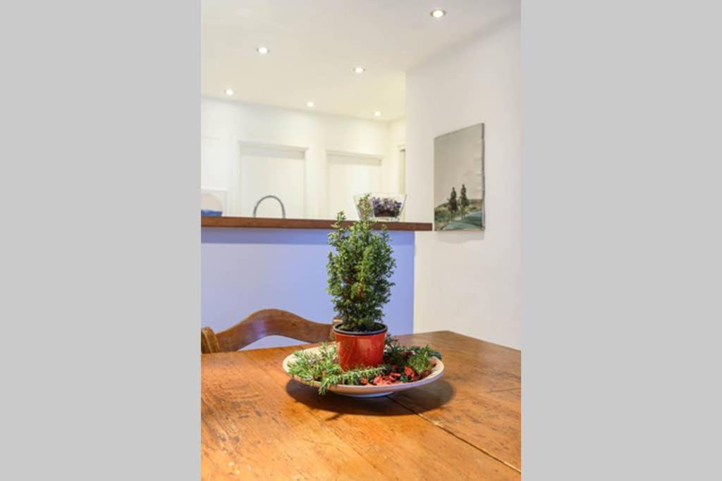 Delicious Apartment Ρώμη Εξωτερικό φωτογραφία